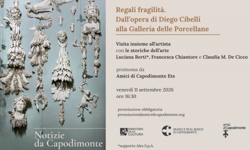 Regali Fragilità