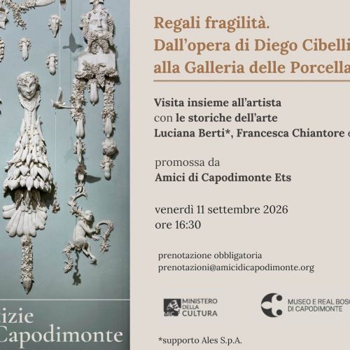 Regali Fragilità