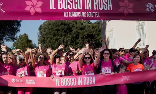 Bosco In Rosa