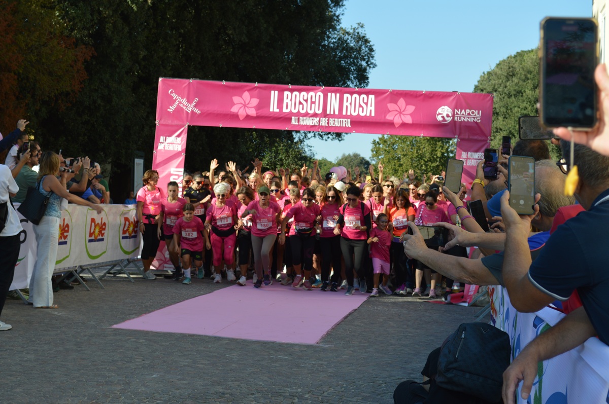 Bosco in Rosa